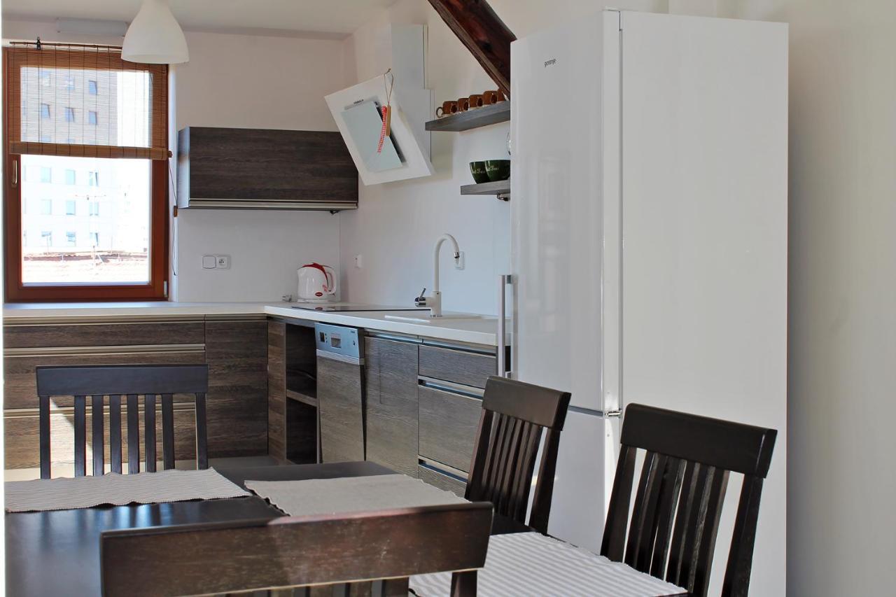 Attic With Parking, Near The Center Of Cb - 110M2 Apartamento Ceske Budejovice Exterior foto